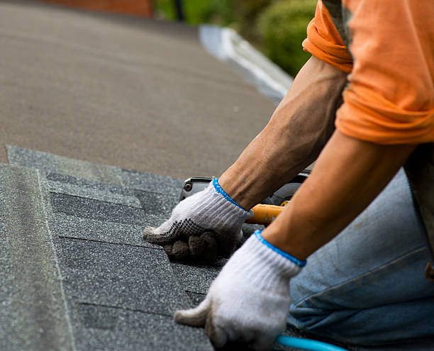 Best Commercial Roofing Services  in Terrell, TX