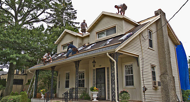 Best Metal Roofing Contractor  in Terrell, TX
